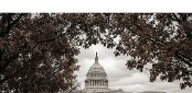 Capitol building framed by trees