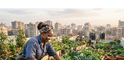 Urban rooftop garden
